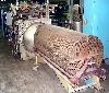 GASTON COUNTY Autoclave, 3